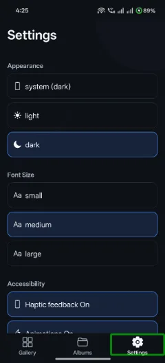 Beyond Pixels Settings screen showing theme, font size and accessibility options.